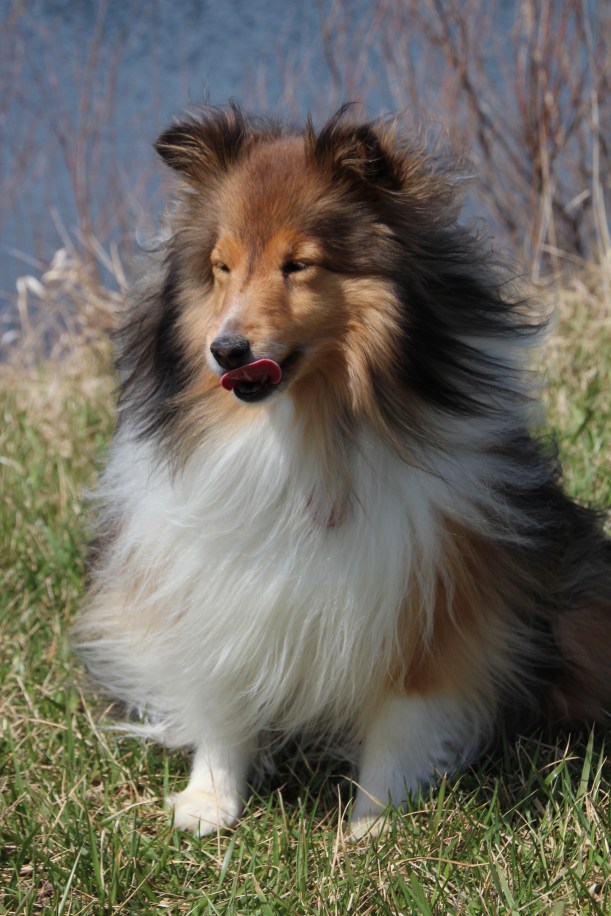 Imported Photos 00559