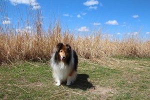 Got anything good over there mama?