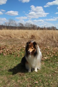 Not going to look at you Mama.