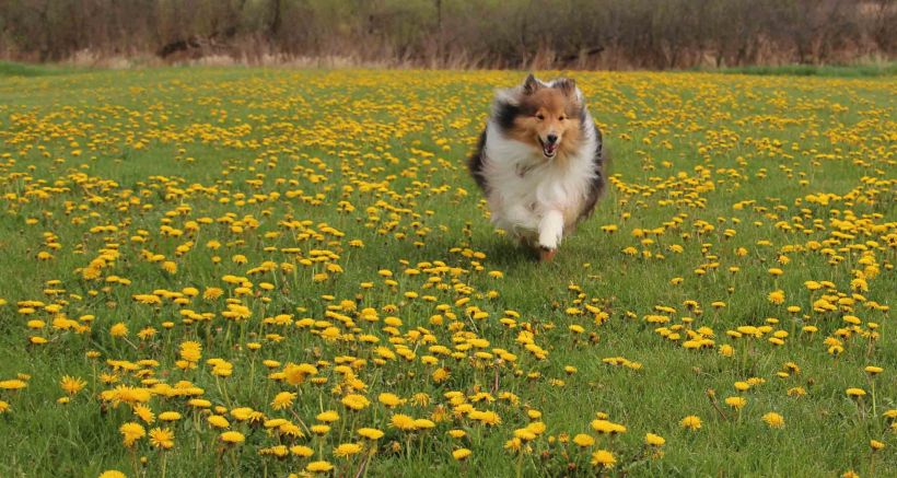 cropped Katie May 8 2015