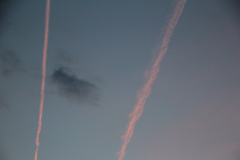 Imported Photos 00661