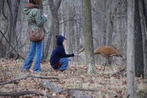 Imported Photos 00755