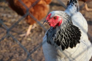 Whatcha doing out there?