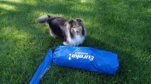 What's in here mama?