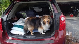 Don't forget me mama!