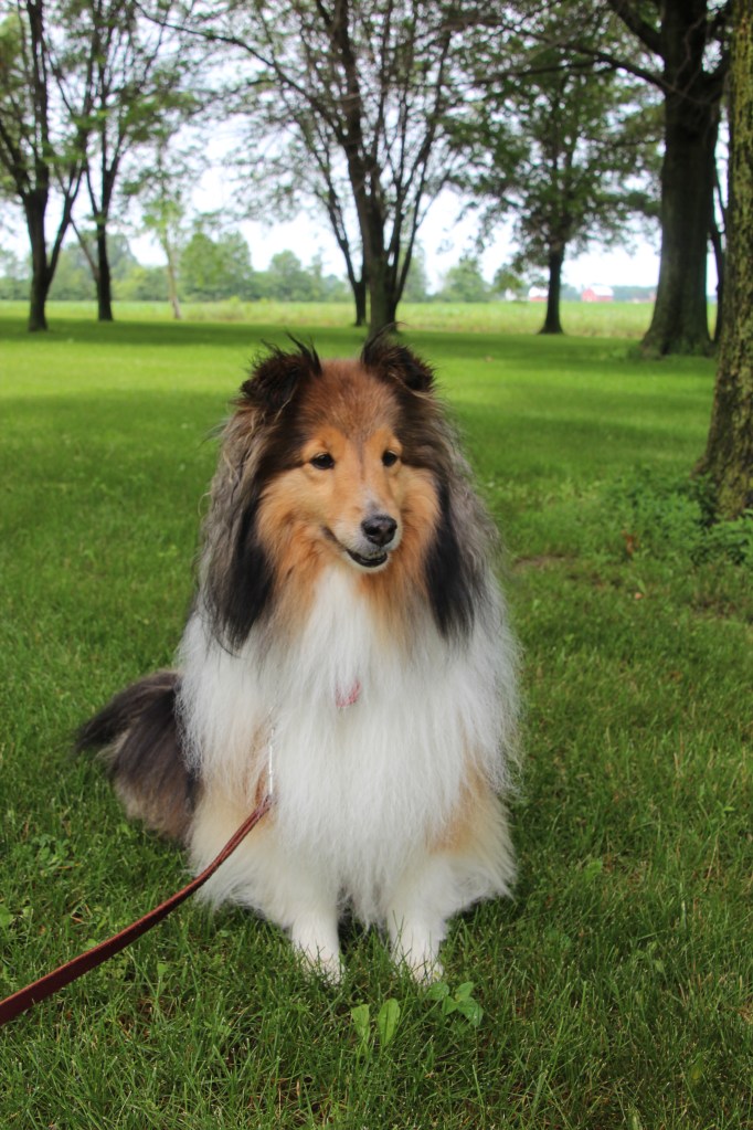 Resting at a rest stop.