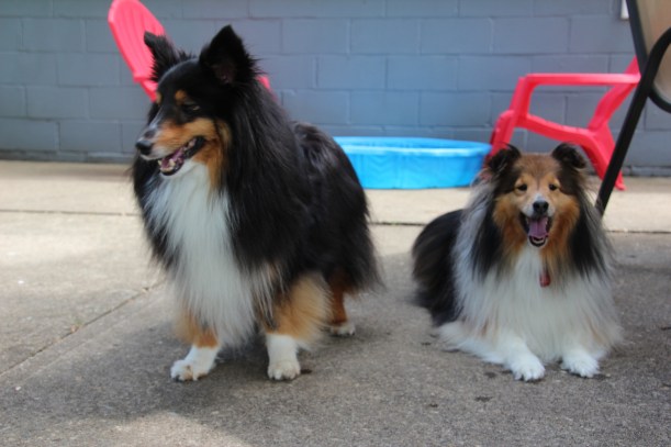 Me and Ricky near the pool.