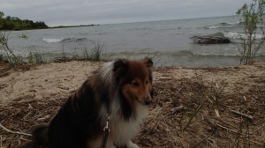 Not getting any closer than this mama!