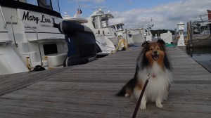 Buy me one of these mama!