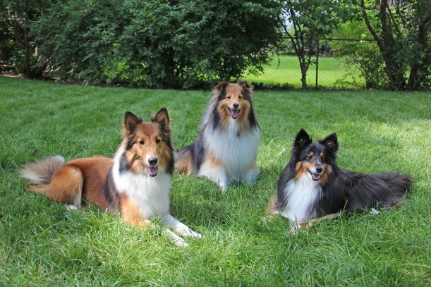 Imported Photos 00048