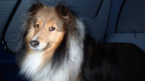 Time to get up mama!