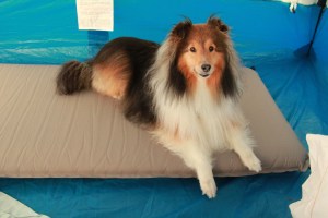 This is for me - - right?