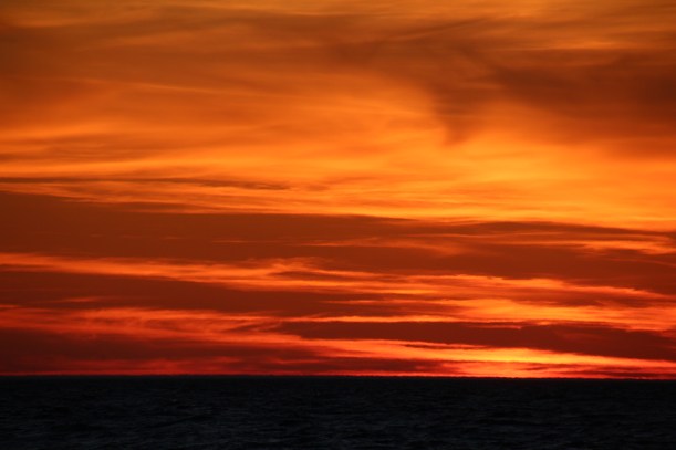 Imported Photos 00240