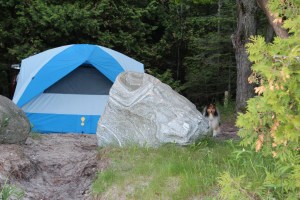 Our beautiful campsite!