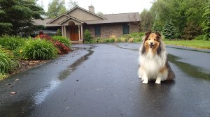 This is my house and I make the rules.  Don't I?