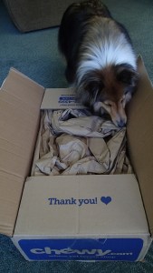 Hmmm....what's in here?