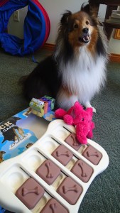 OK Mama, I'll pose with everything.