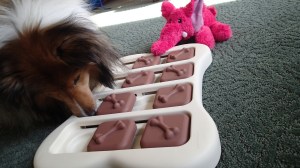 Let's see...how does this work?