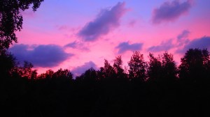 Beauty at the end of an ugly day.