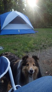 Got any snacks mama?