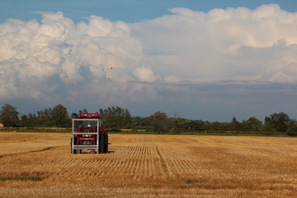 Resting after a hard days work.