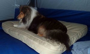 I'll keep watch mama!