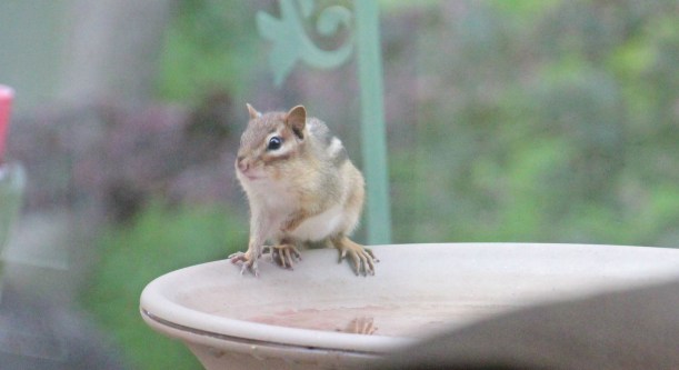 "Hey!  Anybody in there?!"