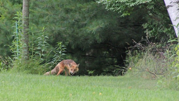 What's that smell over there?