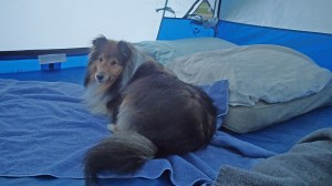 What are you looking at?