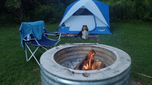This is my tent.  I let my mama share it.