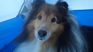 Don't be scared mama!