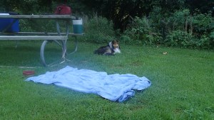 I don't need a towel mama!