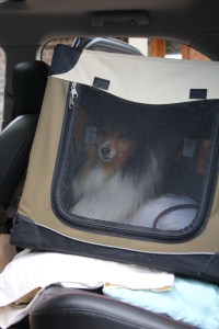 Ready for take off mama!