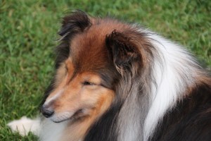 Just resting my eyes.