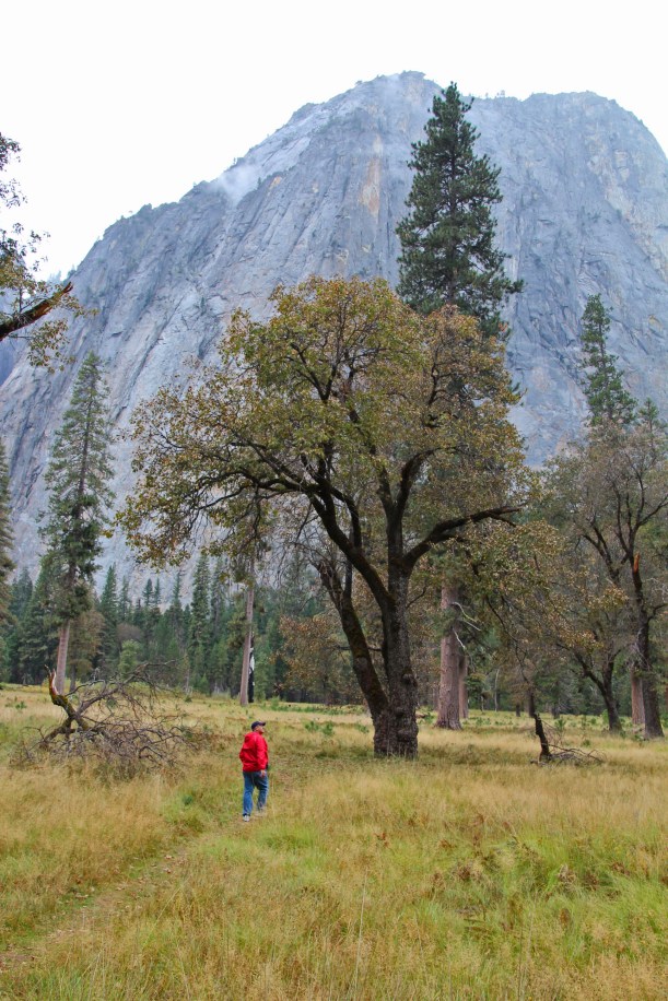 Yosemite grandeur