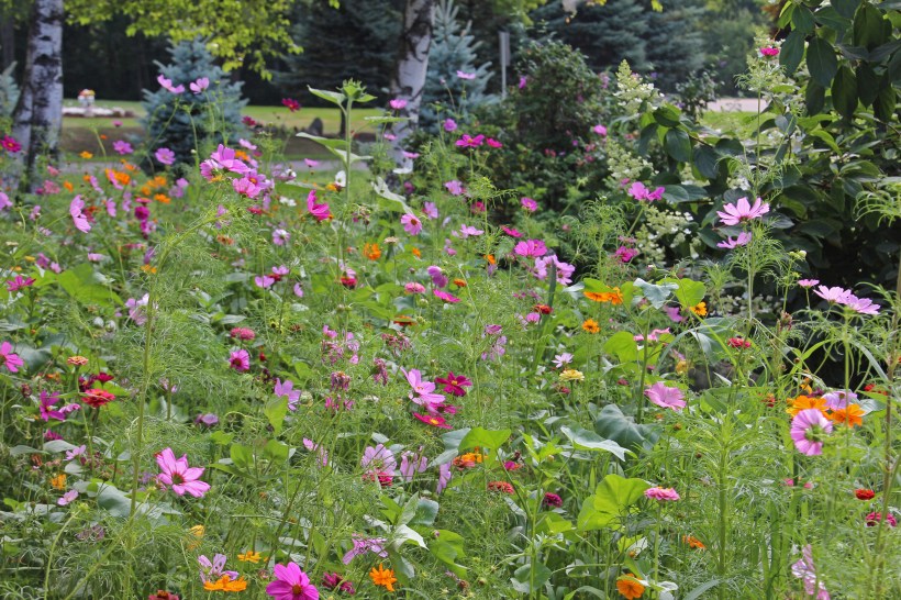 How does your garden grow?