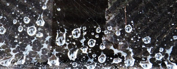 Diamonds and cobwebs.