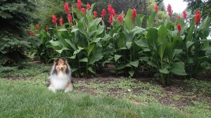 Yes I know I'm beautiful.