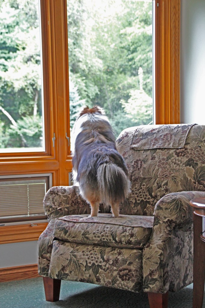 Imported Photos 01285 edited