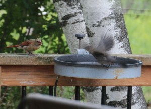 Stay away!  This is MY bath!
