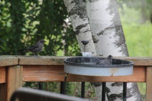 I'll keep watch for you.