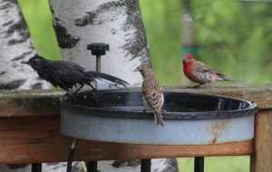 That's it!  There's no privacy here!