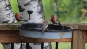 Was it something we said?