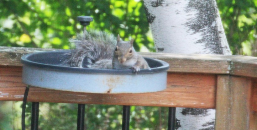 Imported Photos 02047 edited