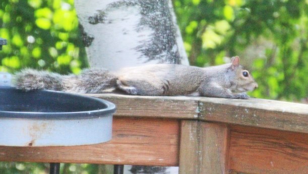 Imported Photos 02064 edited