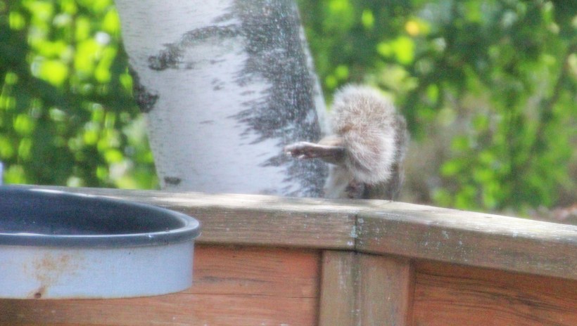 Imported Photos 02065 edited