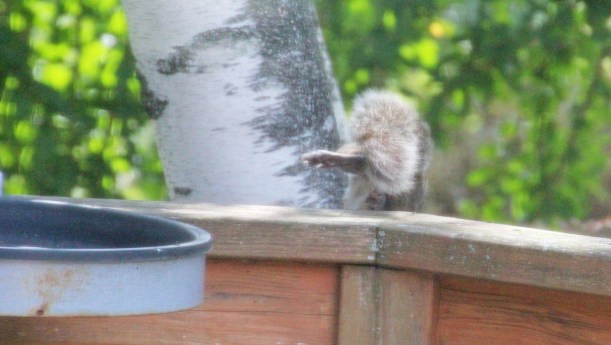 Imported Photos 02065 edited