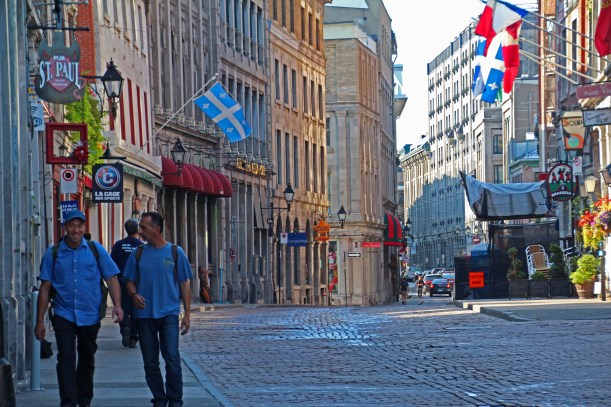 Out for a morning stroll...or on their way to work?