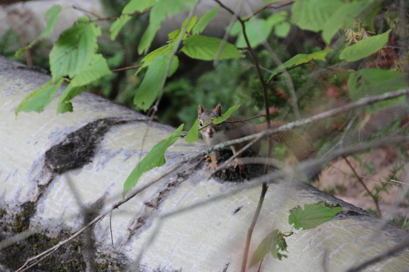 You can't see me.  Right?