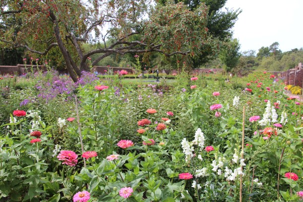 Pretty inside the walled garden.
